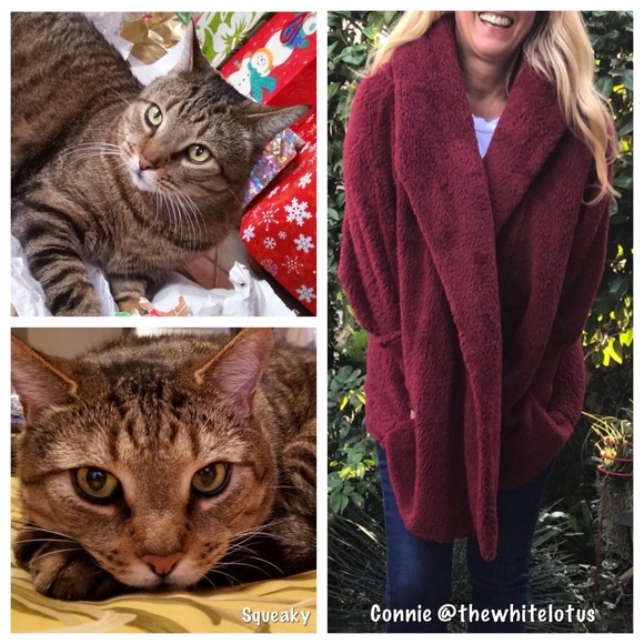 Posh Ambassador - Picture 2 of 8